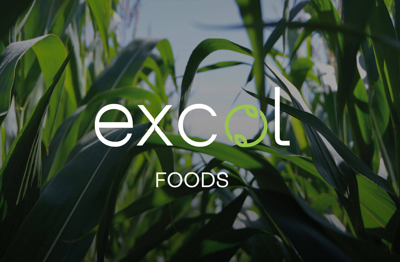 Excol Foods y el fortalecimiento y desarrollo del sector panelero colombiano