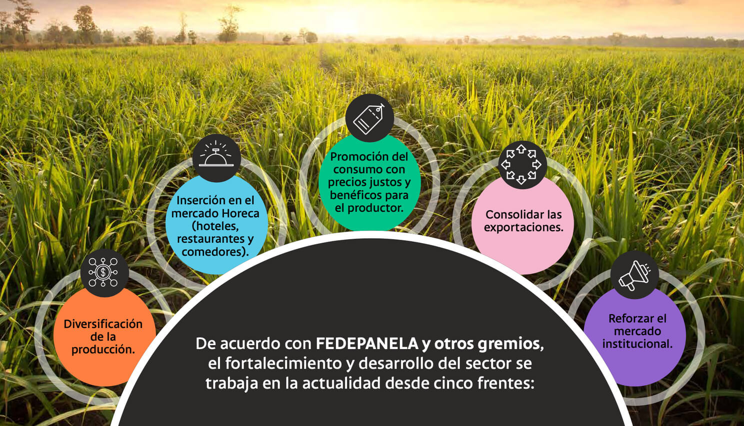 Iconografía de los Cinco Frentes del Fortalecimiento y Desarrollo del Sector Panelero según Fedepanela y otros gremios: 1. Fortalecimiento de la producción. 2. Inserción en el mercado Horeca. 3. Promoción del consumo con precios justos y beneficios para el productor. 4. Consolidación de las exportaciones. 5. Reforzamiento del mercado institucional.