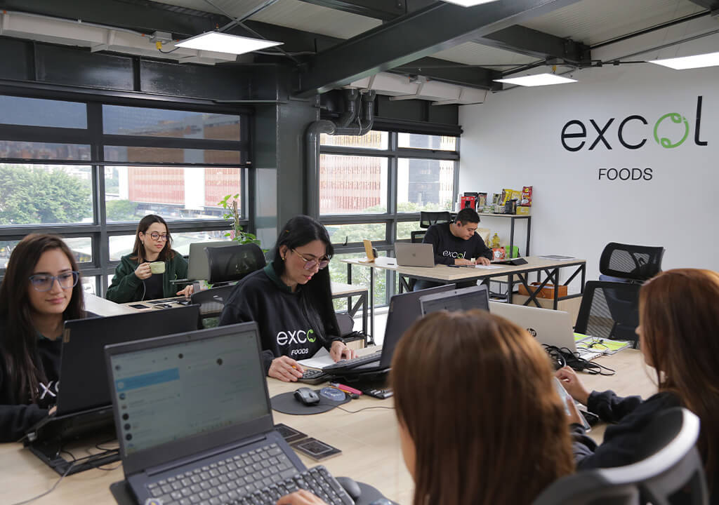 Equipo Excol Food en la Mayorista: Comprometidos con la calidad y el servicio. un ambiente de trabajo colaborativo, dinámico y orientado al logro de objetivos.