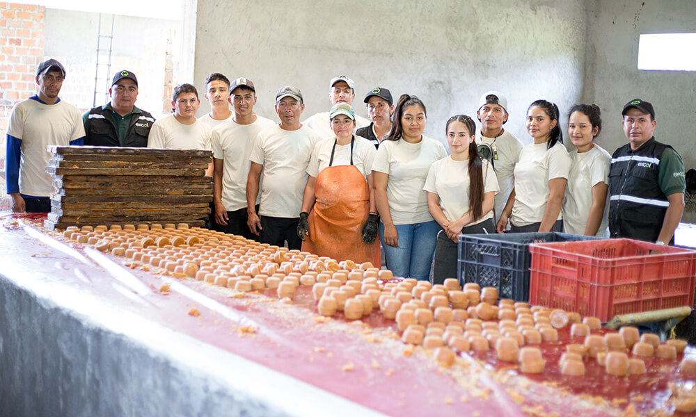 Nuestro proveedores fundamentales para nuestra operación. Con su compromiso garantizamos productos de alta calidad