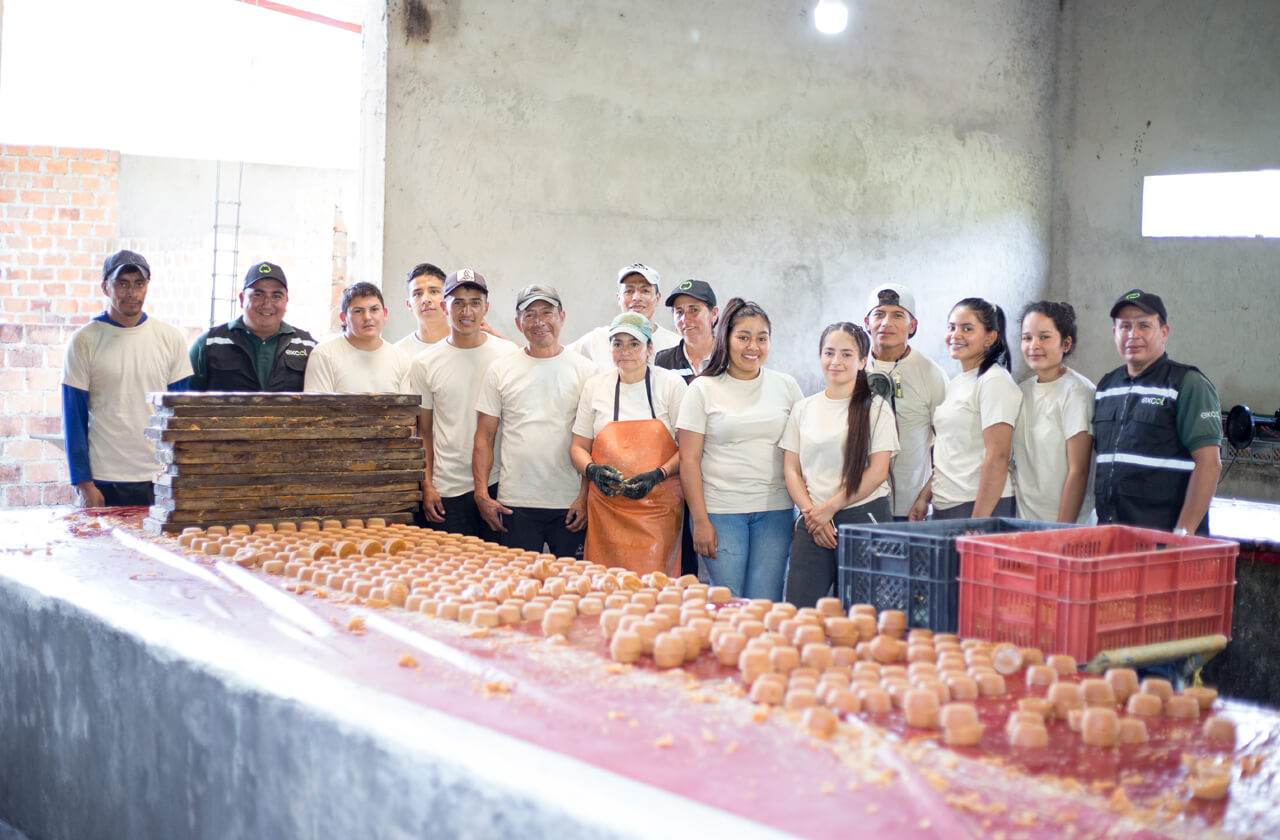 Colaboradores y trapiches Excol Foods